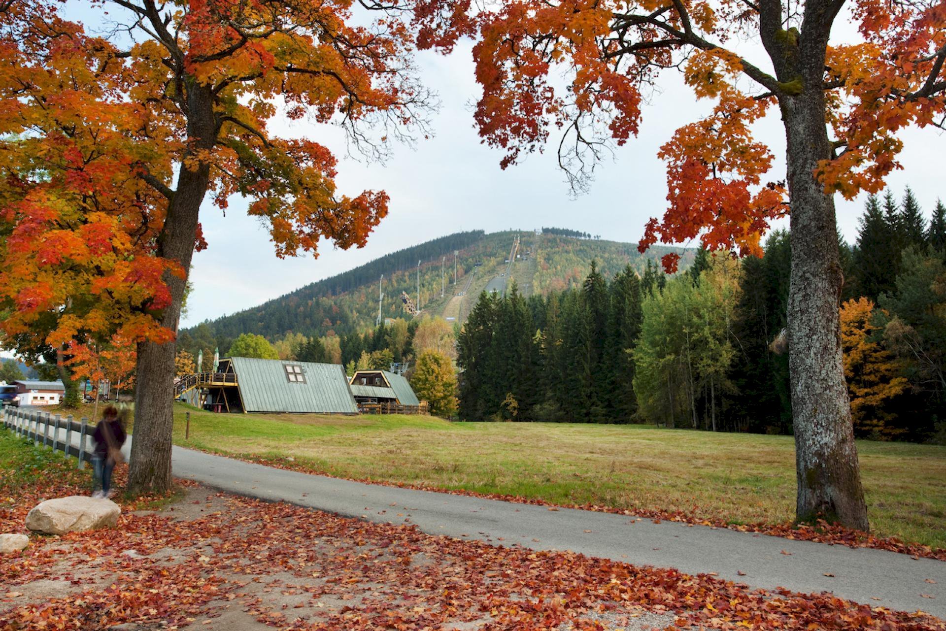 Corso Harrachov