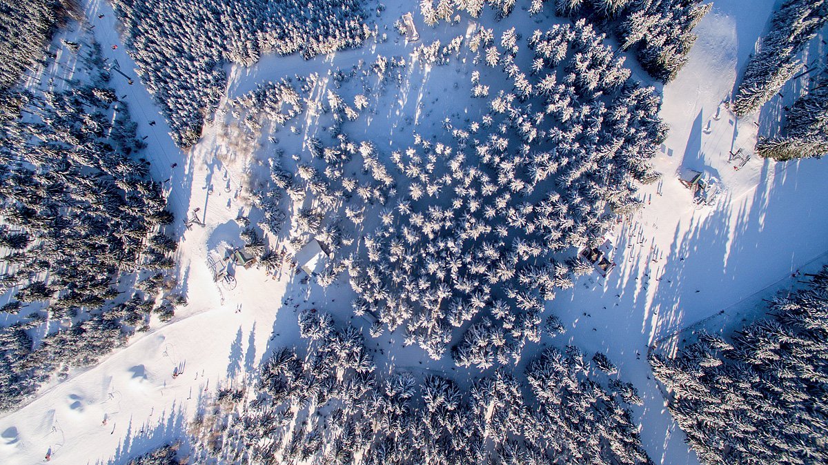 Corso Harrachov