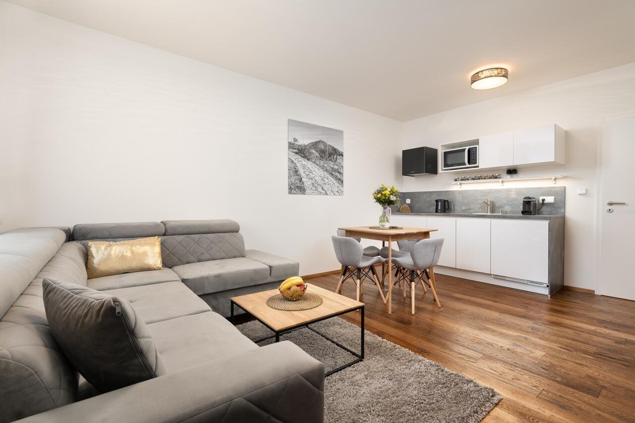 Ski & Mt. bike apartments