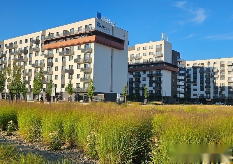 Tulipa City II