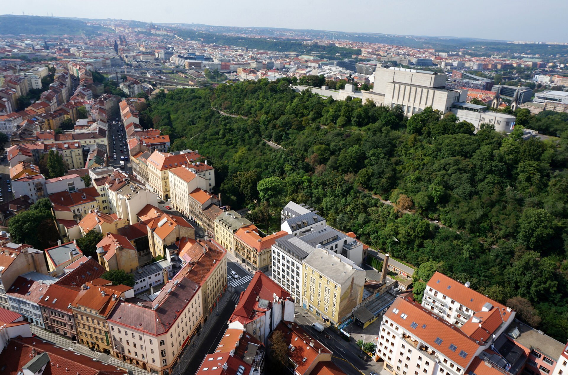 Vitkovia I.